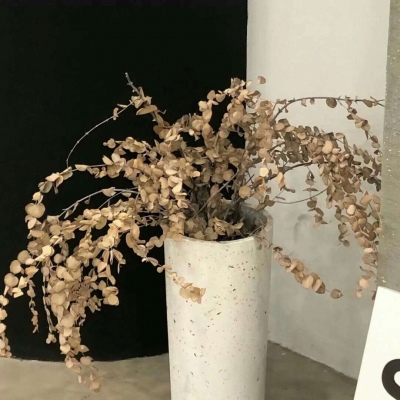 兽设洞穴场景设计兽圈社群